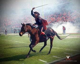 Uva Background Wallpaper