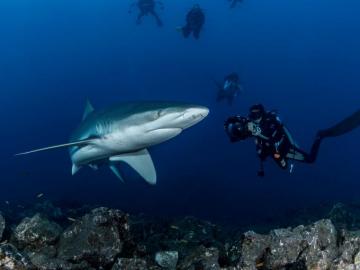 Protected Areas The Challenges Facing Natural World