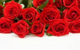 Are Red Flowers Wallpaper Rose