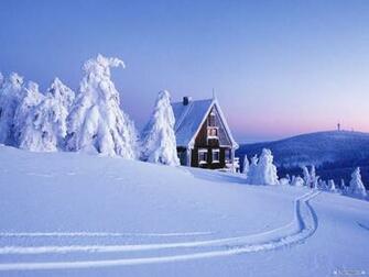Wallpaper Nature Winter Wonderland