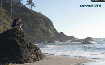 Into The Wild Wallpaper Info Is Resized To