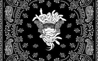 Expressions Clothing New Crooks N Castle