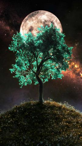 Tree Of Life iPhone Wallpaper