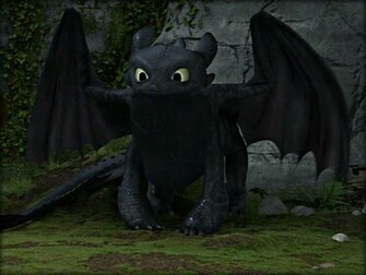 Toothless The Dragon Wallpaper
