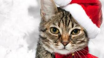 As Desktop Background Wallpaper Holidays New Year