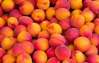 Wallpaper Fruit Nectarines Abundance Image For Desktop Section