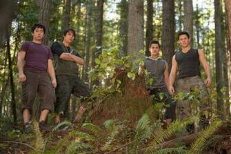 Embry Call Wolf Quil Ateara Jared Cameron Paul Lahote
