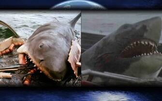 Jaws Wallpaper By Weissdrum