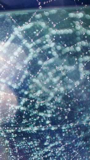 Raindrops Wallpaper iPhone Image Collections Of