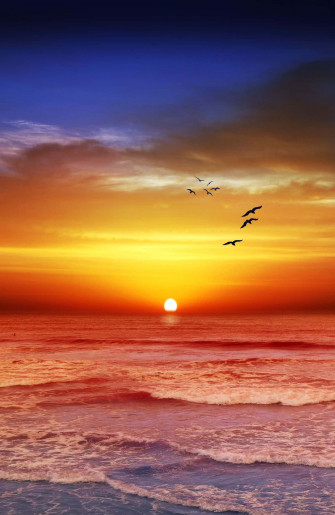 Beautiful Sunshine Wallpaper
