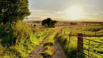 Summer Nature Scenery Road Trees Fence Grass Sun Wallpaper Desktop