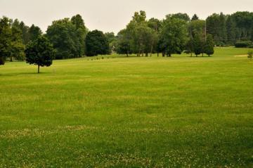 Open Field Wallpaper