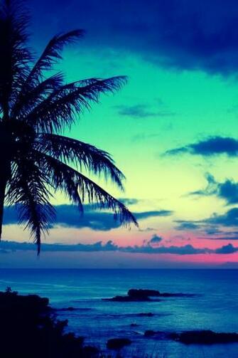 Tropical Sunset Background Islands Beaches