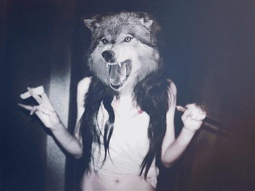 Gif Gifs Trippy Wolf Party
