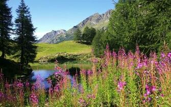 Alaska Scenery Wallpaper