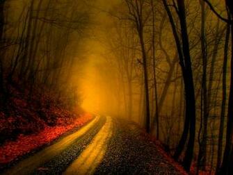 Foggy Forest Background Wallpaper HD Background Desktop