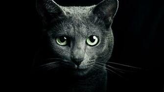 Black Cat Green Eyes Background Wallpaper Desktop