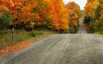 Nature Autumn Trees Landscape Wallpaper
