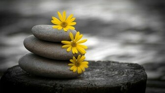 Beautiful Nature Black And White HD Wallpaper Picture