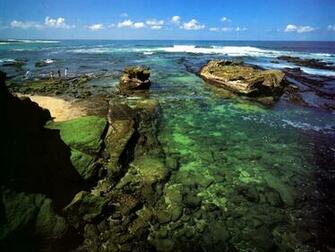 Wallpaper Other Oceans And Rivers Jlm California La Jolla Coast Shell