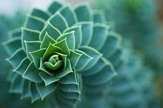 Online Class Biomimicry For Designers Mcad Sustainable Design
