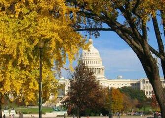 Gorgeous Fall Foliage 3d Screensaver Ware