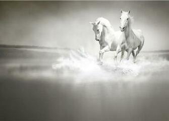 3d Wallpaper Mural White Horse Continental Wall Paper Sofa Background