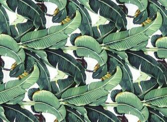 Banana Leaf Chic A Beach Day