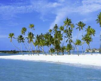Paradise Wallpaper Art Print Poster Tropical