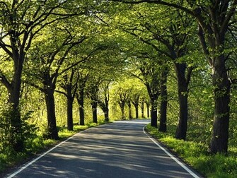 Wallpaper Scenic Photography Desktop Background