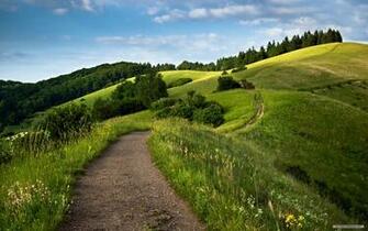 Nature Wallpaper Microsoft Footpaths