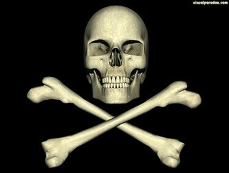 Lea Michele Skulls And Crossbones Wallpaper