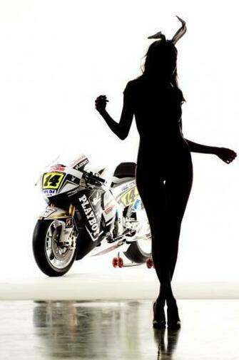 Big Motogp Playboy Honda Wallpaper Movie Sport
