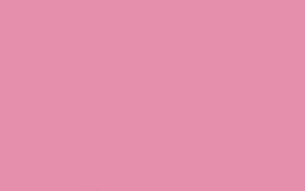 Charm Pink Solid Color Background