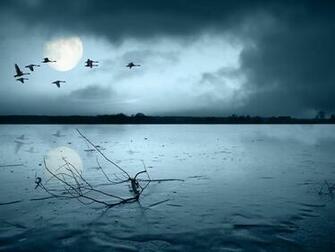 Fly Above The Rest Amazing Pictures Of Nature