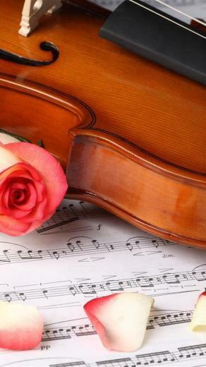 Violin And Rose Background For iPhone HD