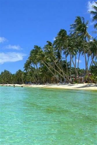 iPhone Tropical Beach Wallpaper Photo Full High Resolution