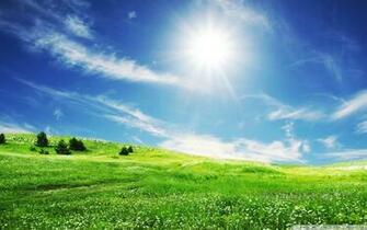 Summer Day 4k HD Desktop Wallpaper For Ultra Tv Wide