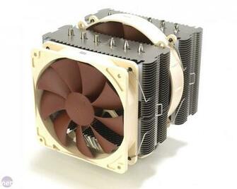 Best Noctua Wallpaper