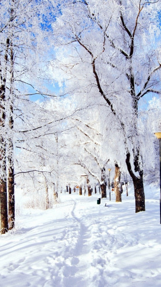 Snow Winter Wallpaper