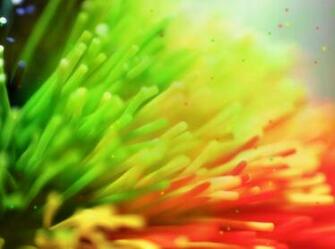 Colorful Jpeg