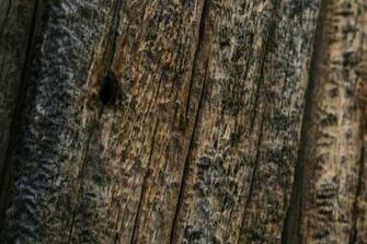 Barn Wood