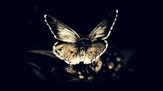Skulls Death Fly Gothic Darkness Moths Butterfly Wings