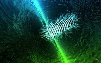 Wallpaper Dark Black Green Blue Neon Form HD Background