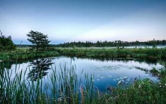Wallpaper Desktop Background Scenery High Quality