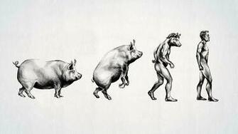 Evolution Wallpaper HD Funny Human