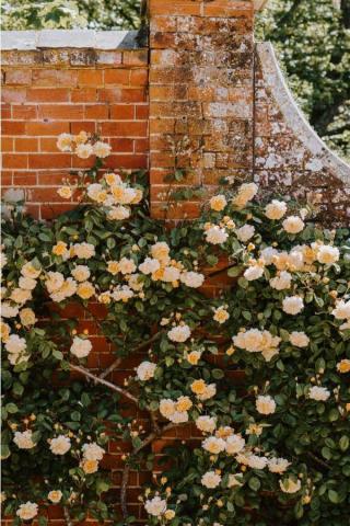 Gorgeous Cottagecore Aesthetic Wallpaper For Your iPhone In