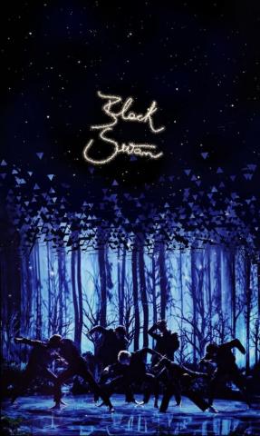 Black Swan Wallpaper Edited By Me Enjoy Blackswan Bts