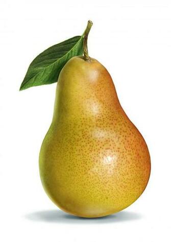 Pear HD Desktop Wallpaper