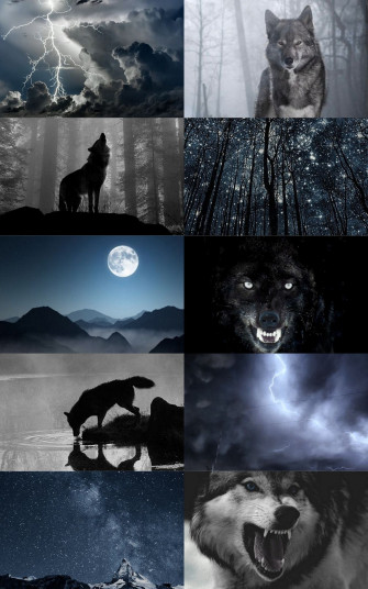 Wolf Aesthetic Wallpaper